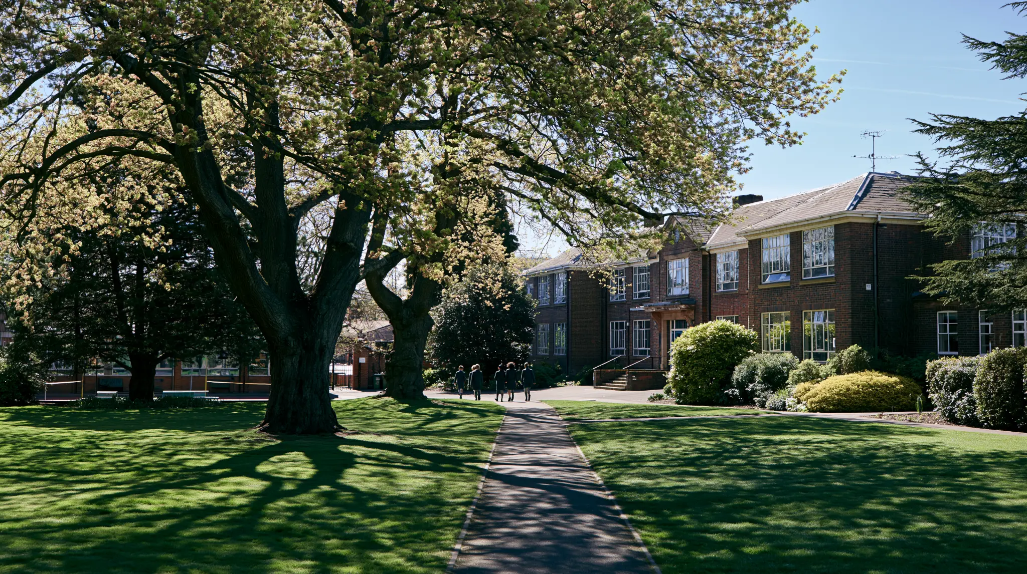 School building exterior with tree-lined path and pupils